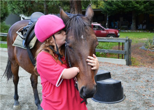 horse